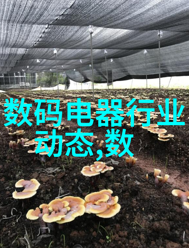 高压内螺纹针型截止阀厂家 暗杆波纹管截止阀